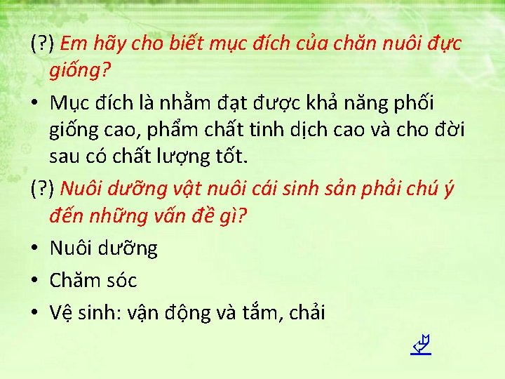 (? ) Em hãy cho biết mục đích của chăn nuôi đực giống? •