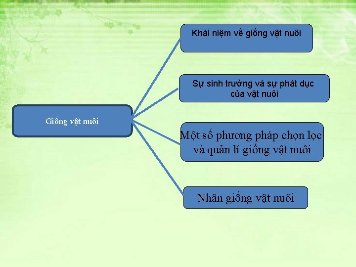Khái niệm về giống vật nuôi Sự sinh trưởng và sự phát dục của Khái niệm về giống vật nuôi Sự sinh trưởng và sự phát dục của