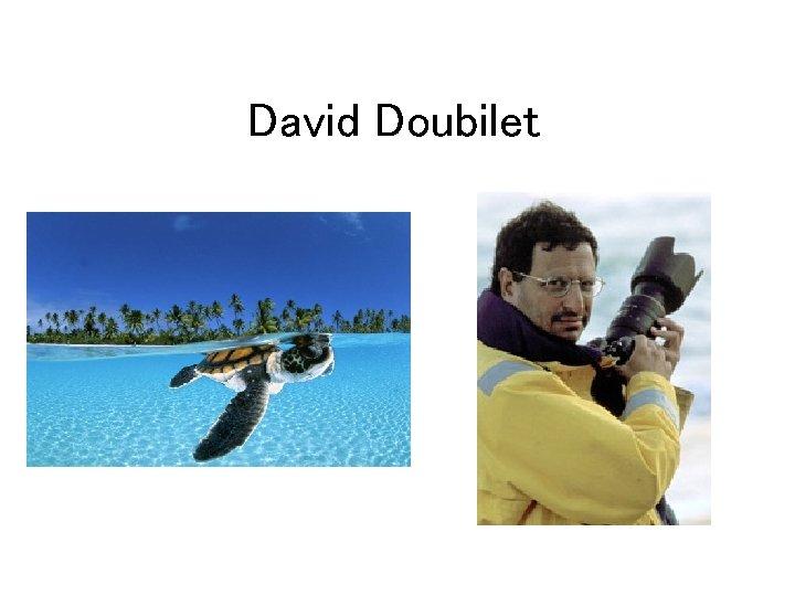 David Doubilet 