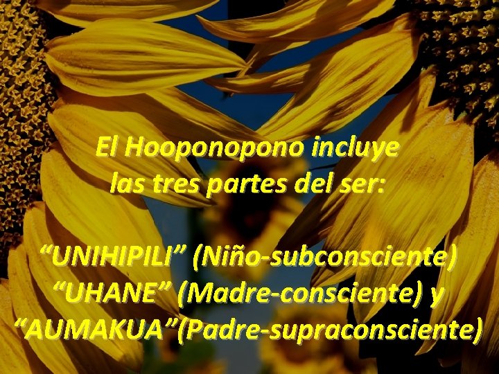 El Hoopono incluye las tres partes del ser: “UNIHIPILI” (Niño-subconsciente) “UHANE” (Madre-consciente) y “AUMAKUA”(Padre-supraconsciente)