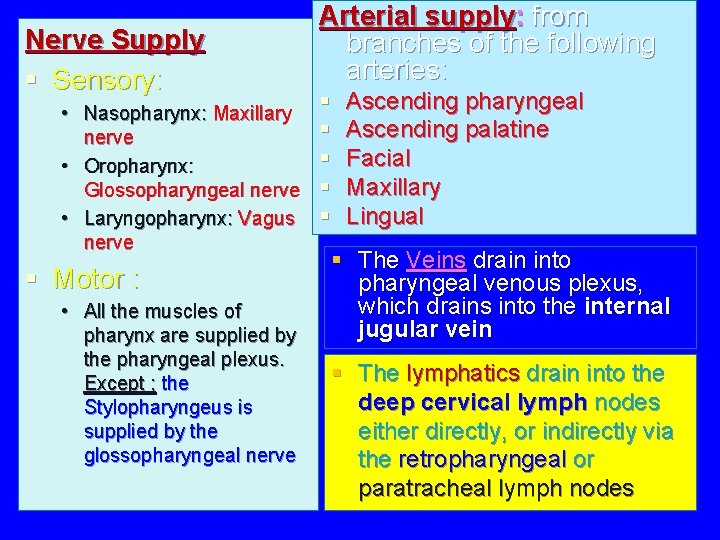 Nerve Supply § Sensory: • Nasopharynx: Maxillary nerve • Oropharynx: Glossopharyngeal nerve • Laryngopharynx: