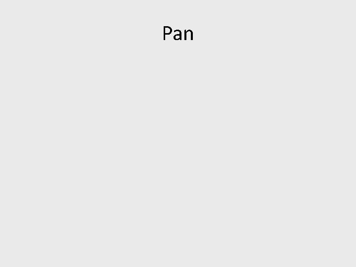 Pan 