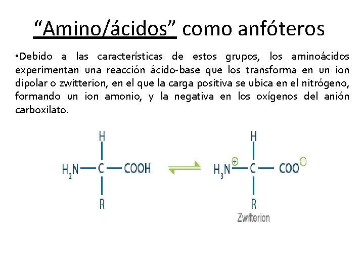 “Amino/ácidos” como anfóteros • Debido a las características de estos grupos, los aminoácidos experimentan