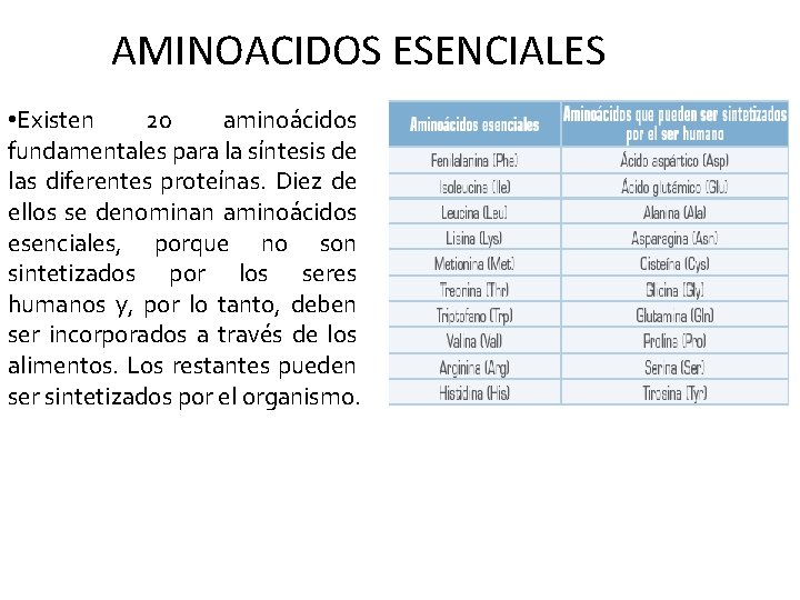 AMINOACIDOS ESENCIALES • Existen 20 aminoácidos fundamentales para la síntesis de las diferentes proteínas.