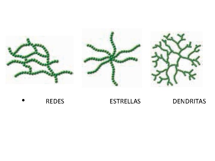  • REDES ESTRELLAS DENDRITAS 