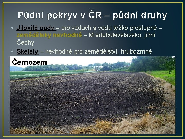 Půdní pokryv v ČR – půdní druhy • Jílovité půdy – pro vzduch a