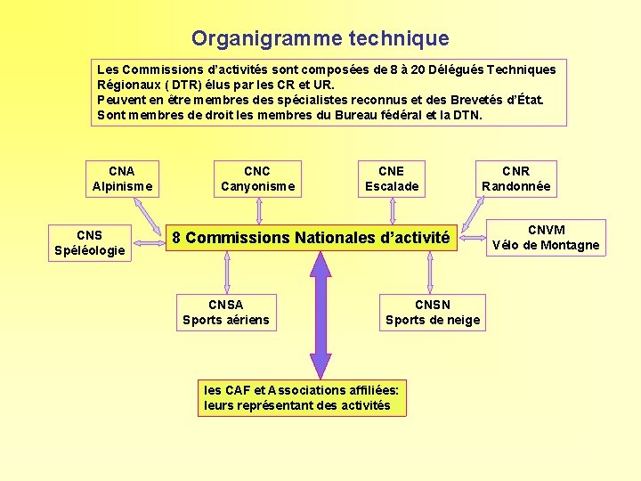 Organigramme technique Les Commissions d’activités sont composées de 8 à 20 Délégués Techniques Régionaux
