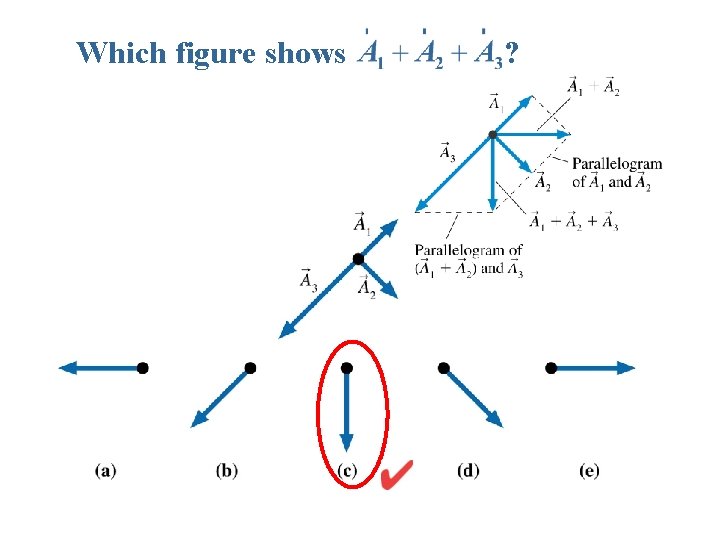 Which figure shows ? 