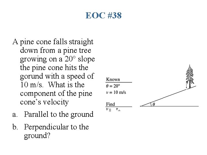 EOC #38 A pine cone falls straight down from a pine tree growing on
