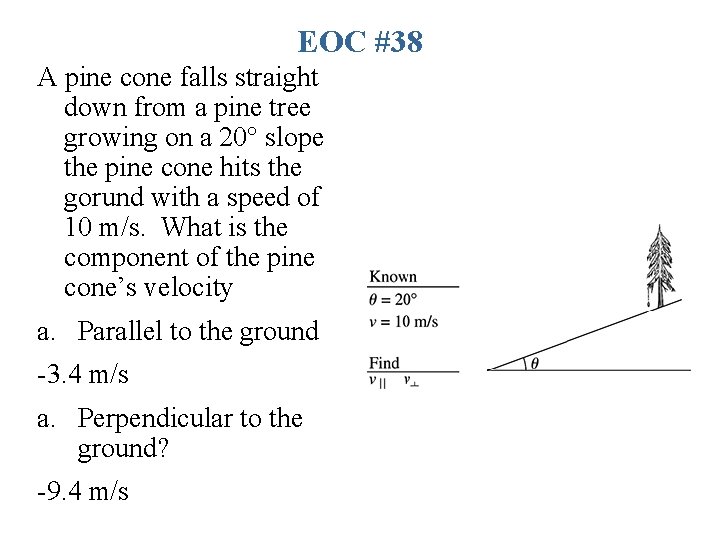 EOC #38 A pine cone falls straight down from a pine tree growing on