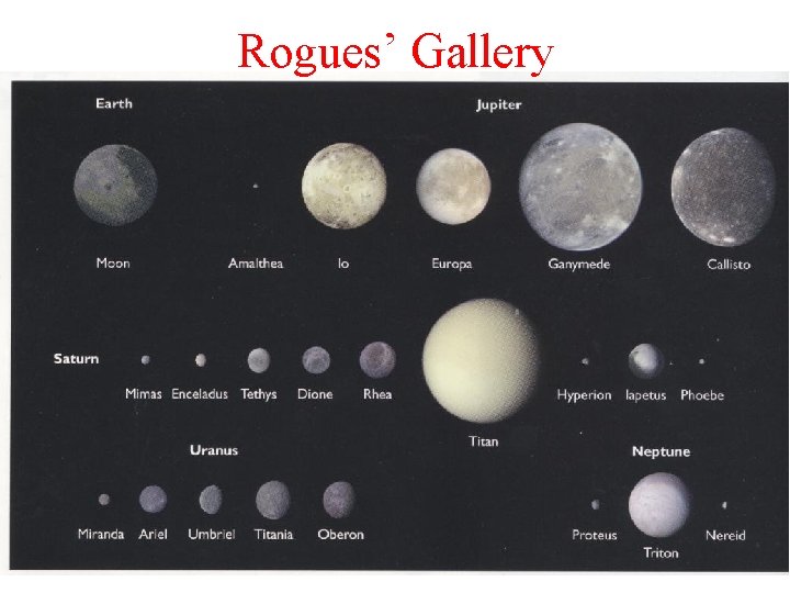 Rogues’ Gallery Rogues’ Gallery