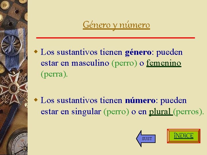 Género y número w Los sustantivos tienen género: pueden estar en masculino (perro) o