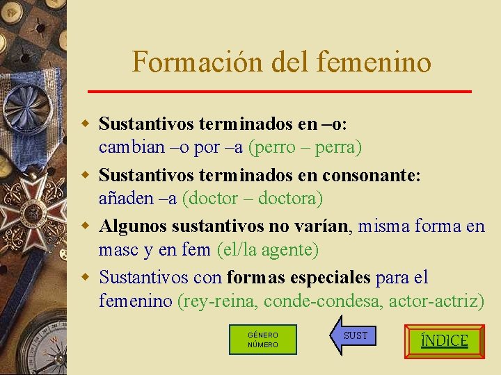 Formación del femenino w Sustantivos terminados en –o: cambian –o por –a (perro –