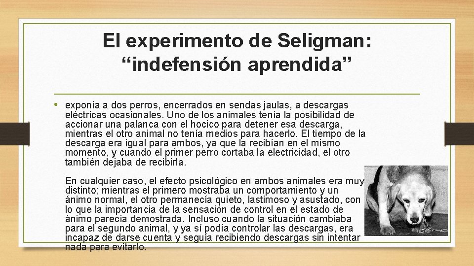 El experimento de Seligman: “indefensión aprendida” • exponía a dos perros, encerrados en sendas El experimento de Seligman: “indefensión aprendida” • exponía a dos perros, encerrados en sendas