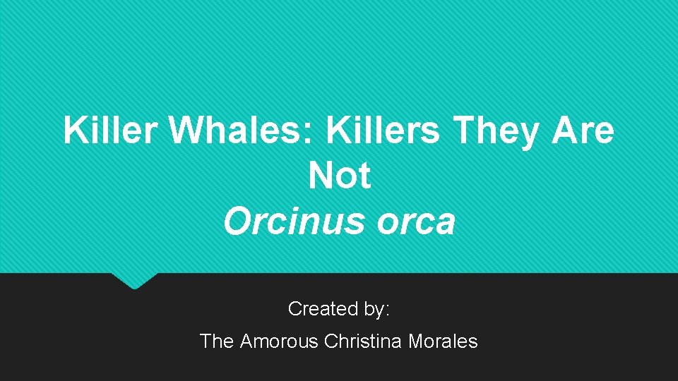Killer Whales: Killers They Are Not Orcinus orca Created by: The Amorous Christina Morales