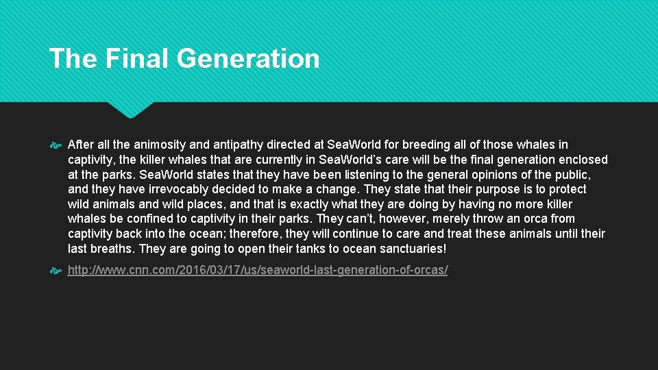 The Final Generation After all the animosity and antipathy directed at Sea. World for