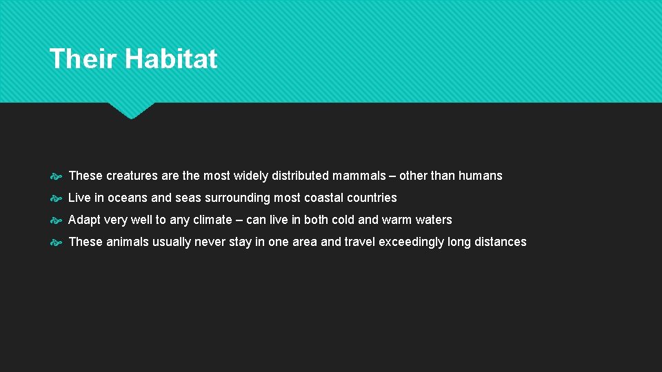 Their Habitat These creatures are the most widely distributed mammals – other than humans