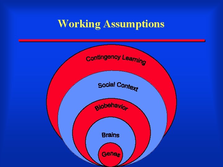 Working Assumptions 