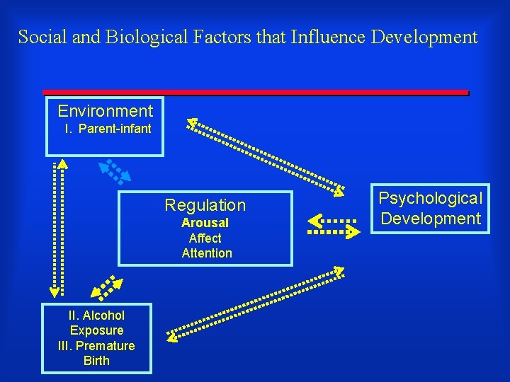 Social and Biological Factors that Influence Development Environment I. Parent-infant Regulation Arousal Affect Attention
