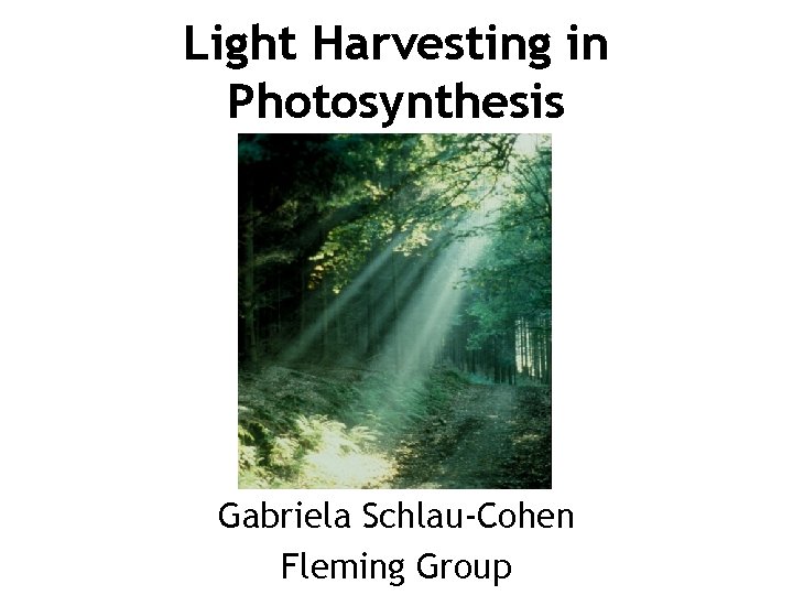 Light Harvesting in Photosynthesis Gabriela Schlau-Cohen Fleming Group 