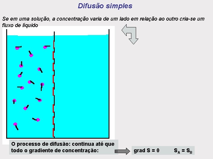 Difusão simples Se em uma solução, a concentração varia de um lado em relação Difusão simples Se em uma solução, a concentração varia de um lado em relação