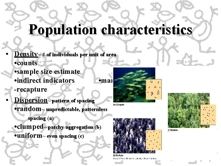 Population characteristics • Density~ # of individuals per unit of area • counts •