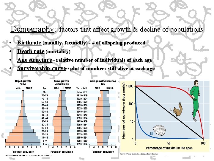 Demography: factors that affect growth & decline of populations • • Birthrate (natality, fecundity)~