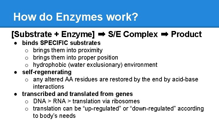How do Enzymes work? [Substrate + Enzyme] ➡ S/E Complex ➡ Product ● binds