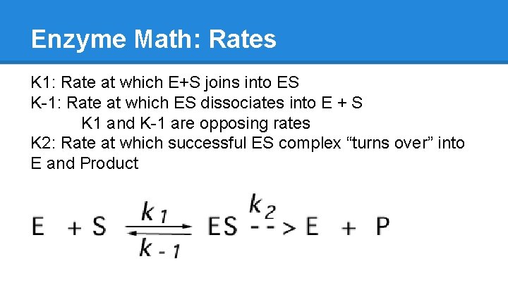 Enzyme Math: Rates K 1: Rate at which E+S joins into ES K-1: Rate Enzyme Math: Rates K 1: Rate at which E+S joins into ES K-1: Rate