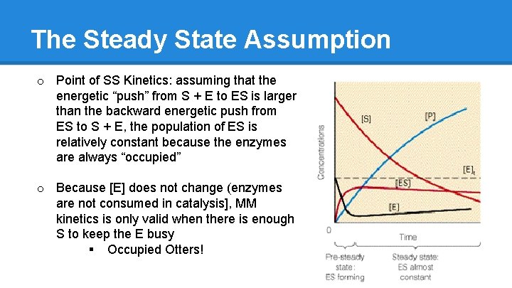 The Steady State Assumption o Point of SS Kinetics: assuming that the energetic “push”