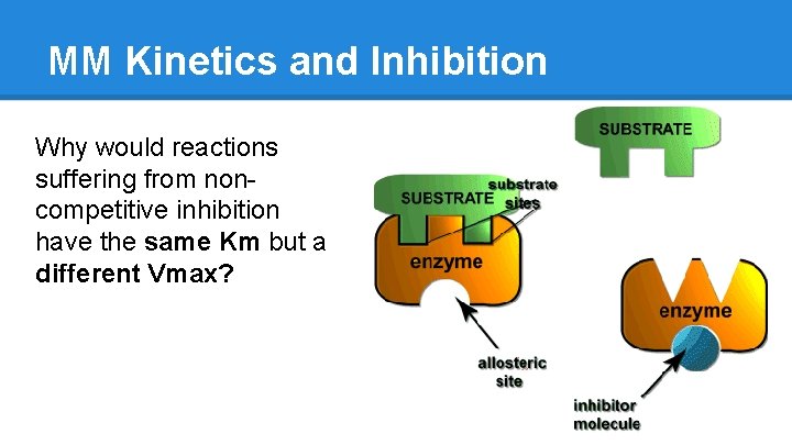 MM Kinetics and Inhibition Why would reactions suffering from noncompetitive inhibition have the same