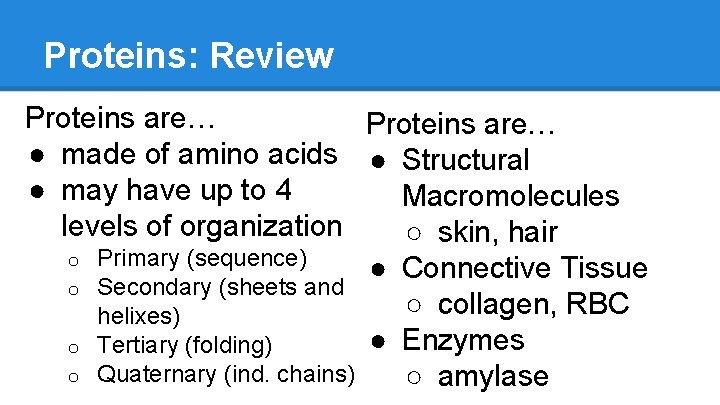 Proteins: Review Proteins are… ● made of amino acids ● Structural ● may have