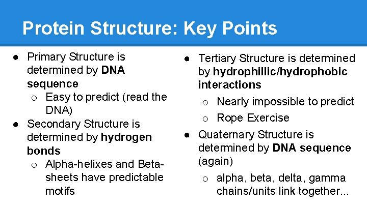 Protein Structure: Key Points ● Primary Structure is determined by DNA sequence o Easy