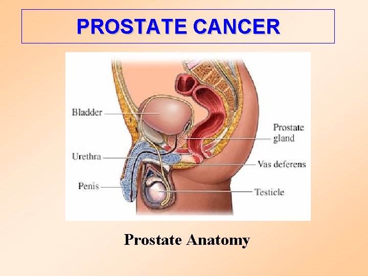 Prostatitis epidemiológia Antibiotikumok típusai prosztatitis