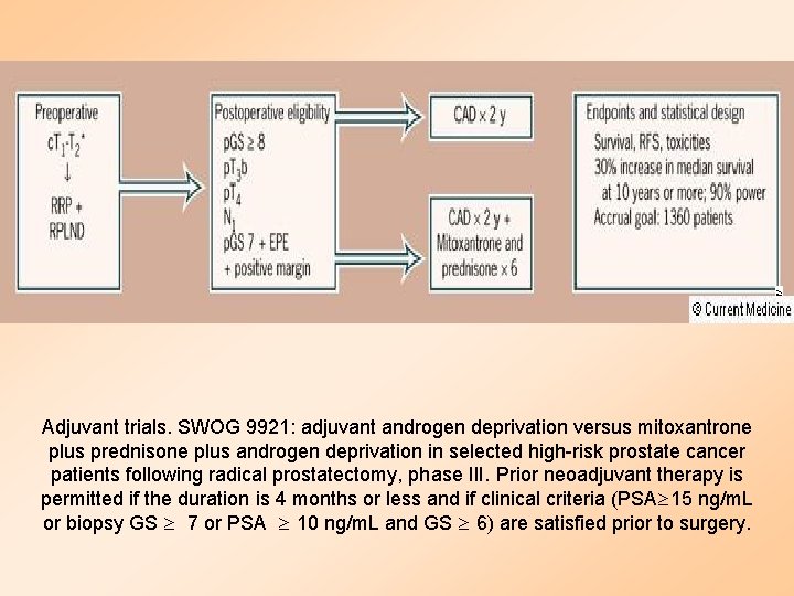 Adjuvant trials. SWOG 9921: adjuvant androgen deprivation versus mitoxantrone plus prednisone plus androgen deprivation