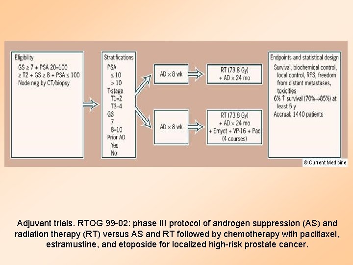 Adjuvant trials. RTOG 99 -02: phase III protocol of androgen suppression (AS) and radiation