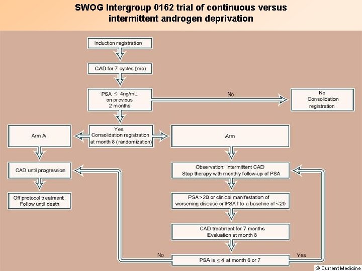 SWOG Intergroup 0162 trial of continuous versus intermittent androgen deprivation 