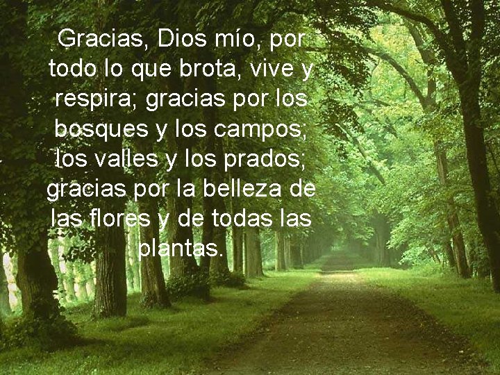 Gracias, Dios mío, por todo lo que brota, vive y respira; gracias por los