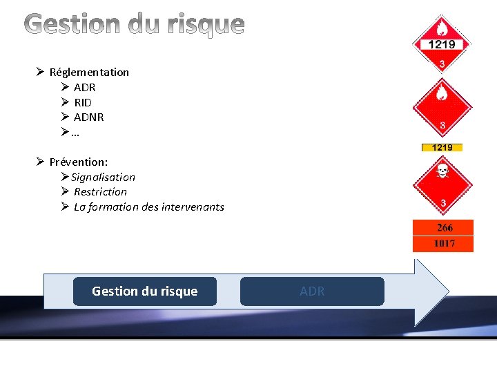 Ø Réglementation Ø ADR Ø RID Ø ADNR Ø… Ø Prévention: ØSignalisation Ø Restriction