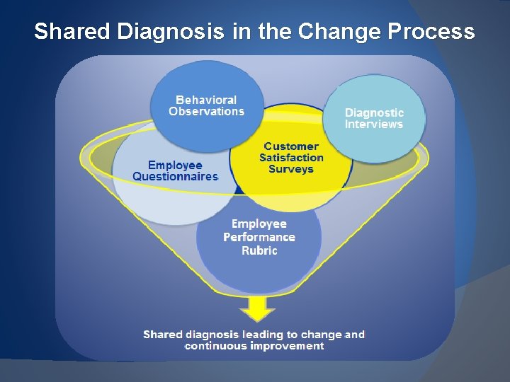 Shared Diagnosis in the Change Process 