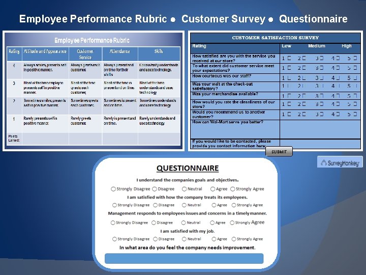 Employee Performance Rubric Customer Survey Questionnaire SUBMIT 