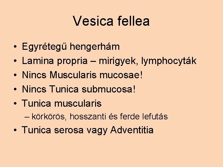 Vesica fellea • • • Egyrétegű hengerhám Lamina propria – mirigyek, lymphocyták Nincs Muscularis