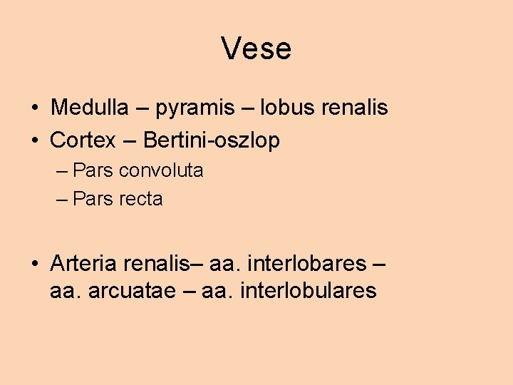 Vese • Medulla – pyramis – lobus renalis • Cortex – Bertini-oszlop – Pars
