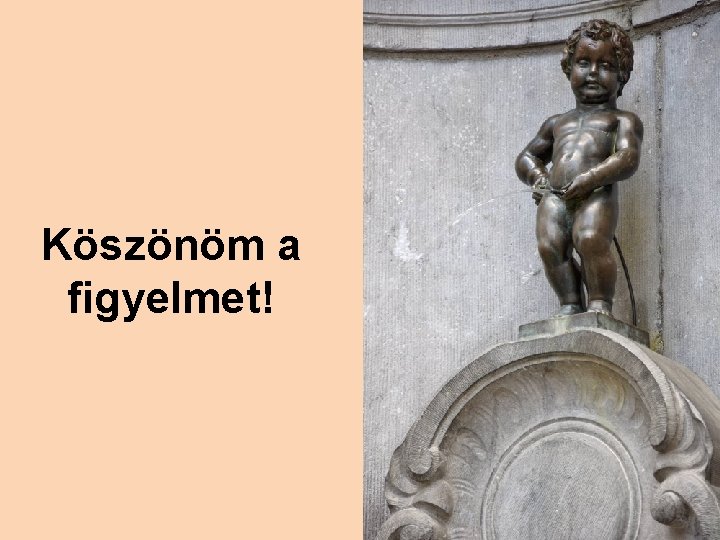 Köszönöm a figyelmet! 