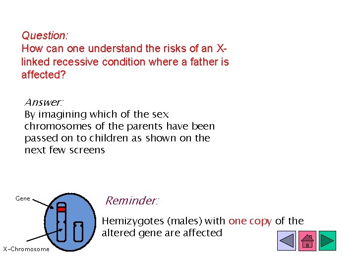 Question: How can one understand the risks of an Xlinked recessive condition where a