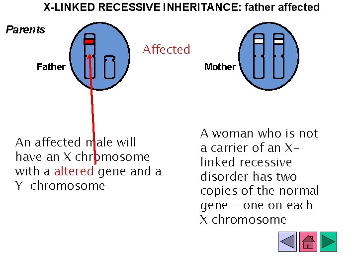 X-LINKED RECESSIVE INHERITANCE: father affected Parents Affected Father An affected male will have an