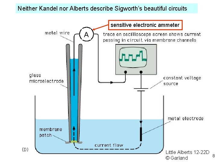 Neither Kandel nor Alberts describe Sigworth’s beautiful circuits sensitive electronic ammeter A Little Alberts