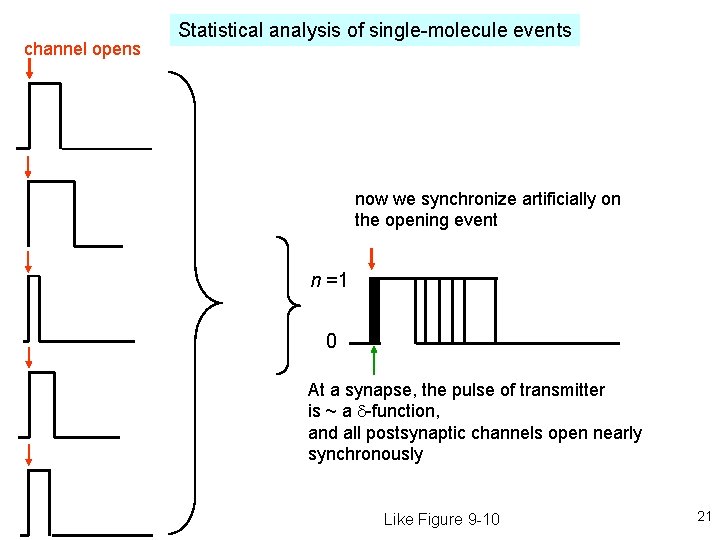 channel opens Statistical analysis of single-molecule events now we synchronize artificially on the opening