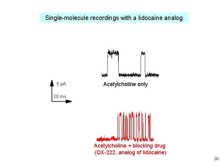 Single-molecule recordings with a lidocaine analog 5 p. A Acetylcholine only 20 ms Acetylcholine
