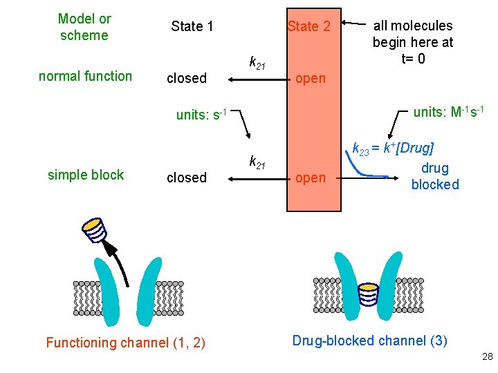 Model or scheme normal function State 1 closed State 2 k 21 open units: